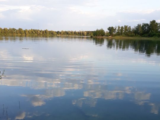 Baggersee Mittelgrund (Eggenstein-Leopoldshafen)-3