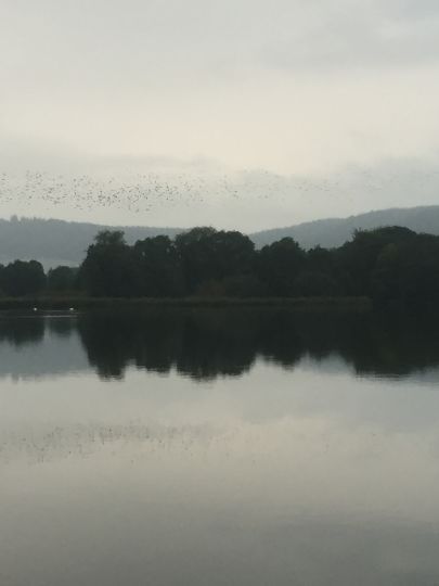 Stausee Hohenfelden angeln