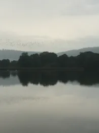 Stausee Hohenfelden-4