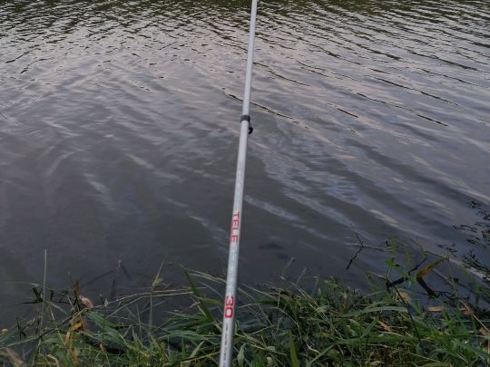 Aschwardener Flutgraben
