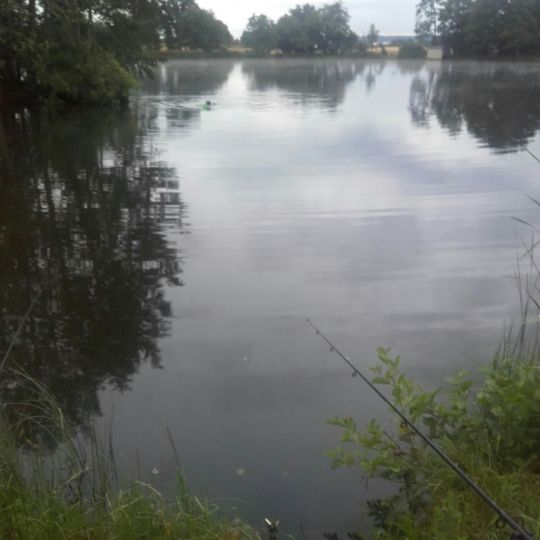 Thierbacher Teich (Mühltroff)