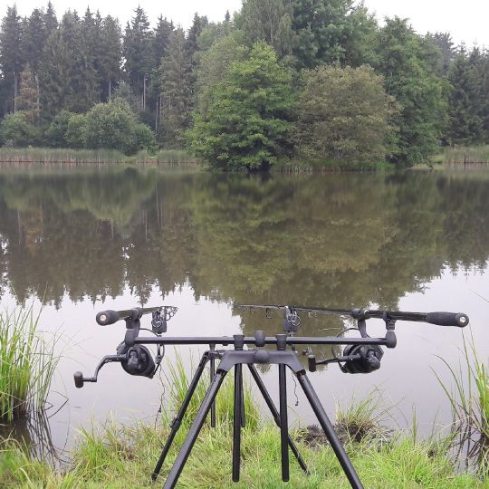 Thierbacher Teich (Mühltroff) ALLE ANGELN