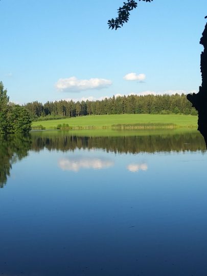 Thierbacher Teich (Mühltroff) ALLE ANGELN