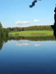 Thierbacher Teich (Mühltroff)-2