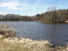 Thierbacher Teich (Mühltroff)-1