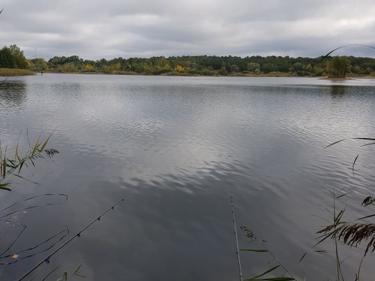 Kiessee Wischer (Stendal)-1