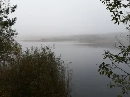 Kiessee Wischer (Stendal)-4