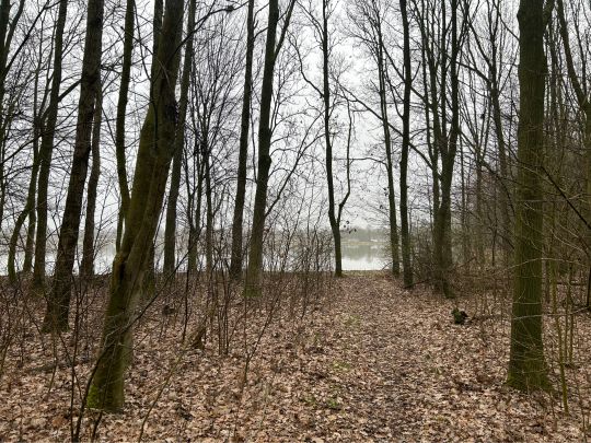 Freizeitsee Grotegaste