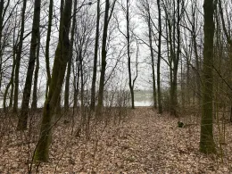 Freizeitsee Grotegaste