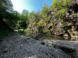 Lieser (Manderscheid)