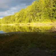 Tagebaurestloch Kraft 1-2