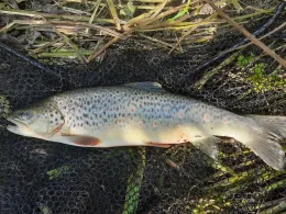 Ruhr (Fröndenberg)-1