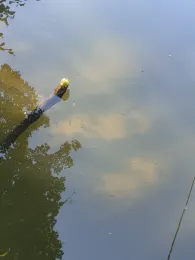 Ruhr (Fröndenberg)-4