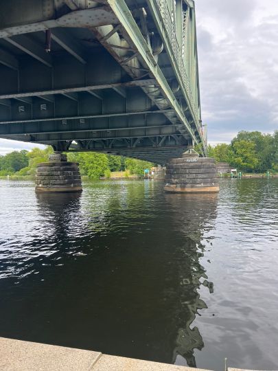 Glienicker See (Potsdam)-4