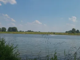 Nederrijn (Oosterbeek)-2