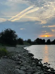 Nederrijn (Oosterbeek)-3
