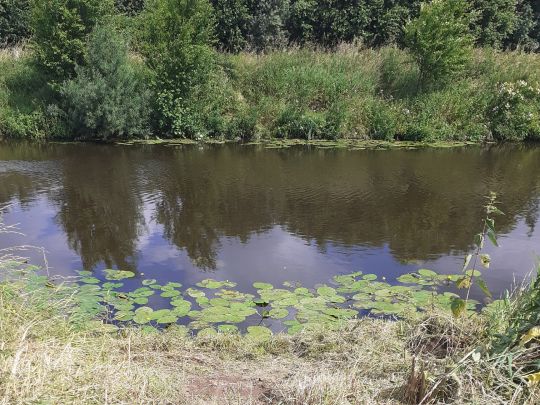 Bocholter Aa (Bocholt)-1