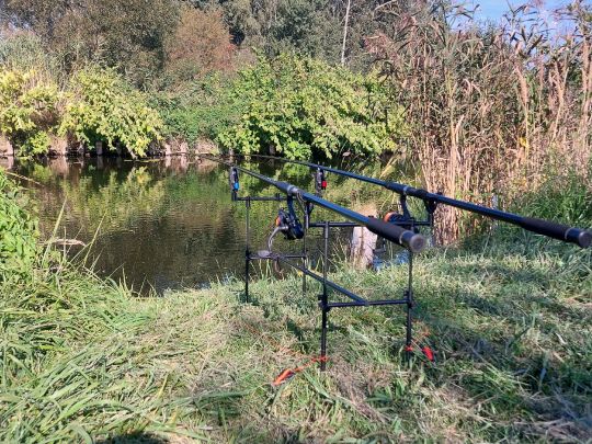 Alter Rhin (Linumhorst)-2