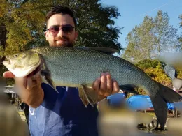 Spreekanal (Berlin Jungfernheide)-2