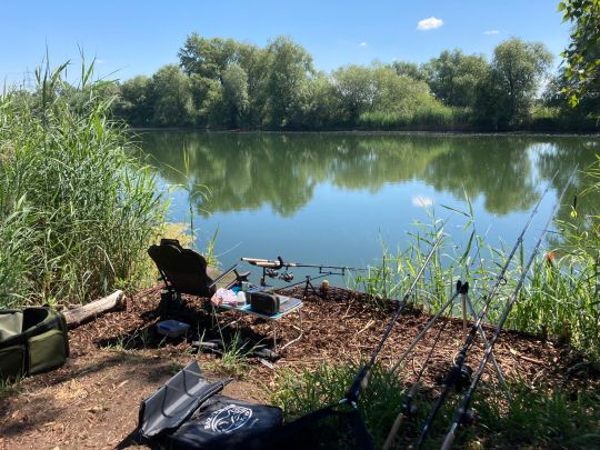 Ochsenfeld (Altrip)-2