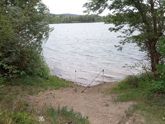 Kiesteich Nordstemmen II-1