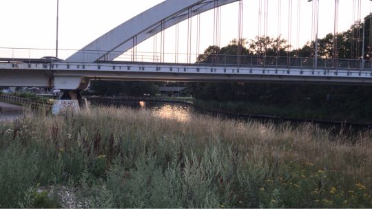 Twentekanaal (Goor)-4