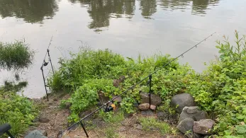 Main (Mühlheim am Main)-1