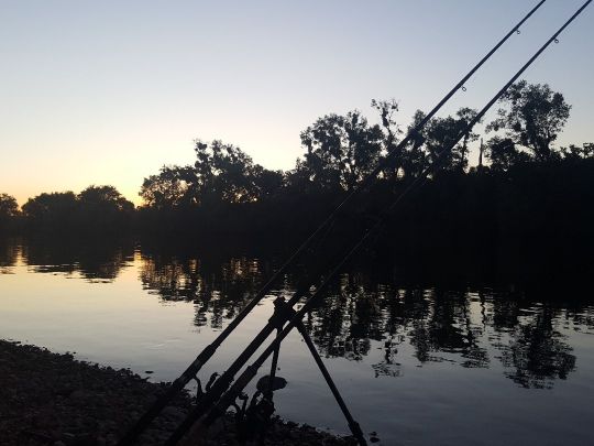 Main (Mühlheim am Main)-2