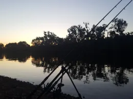 Main (Mühlheim am Main)-2