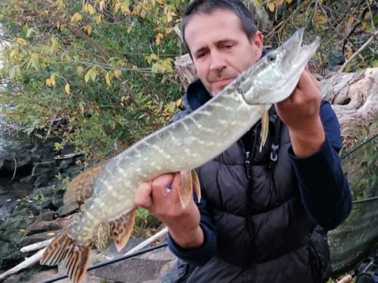 Main (Mühlheim am Main)-4