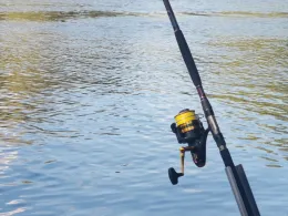 Main (Mühlheim am Main)-4