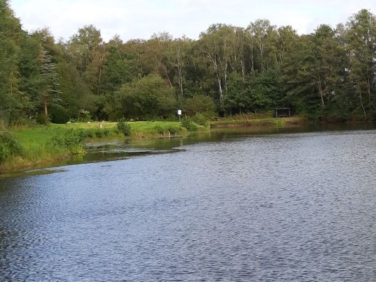Vereinsgewässer am Südportal-4