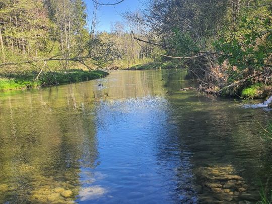 Leitzach (Irschenberg)-1