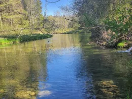 Leitzach (Irschenberg)-1