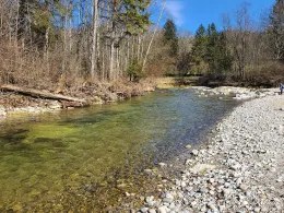 Leitzach (Irschenberg)-2