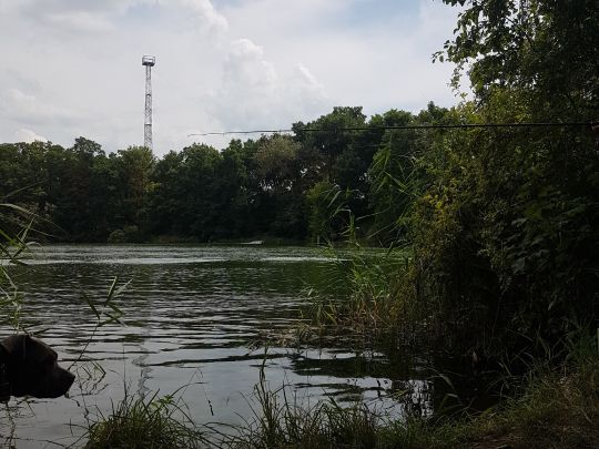 Kriensee (Rüdersdorf)