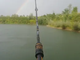 Riedelweiher (Bergkirchen)