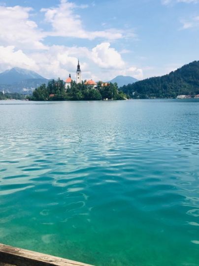 Blejsko jezero (Lake Bled) angeln