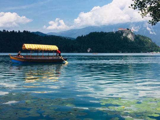 Blejsko jezero (Lake Bled)-2