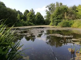 Schlossteich Brüsewitz