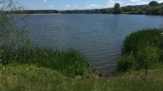 Kinzigsee (Langenselbold)-2