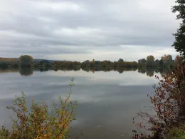 Kinzigsee (Langenselbold)-3