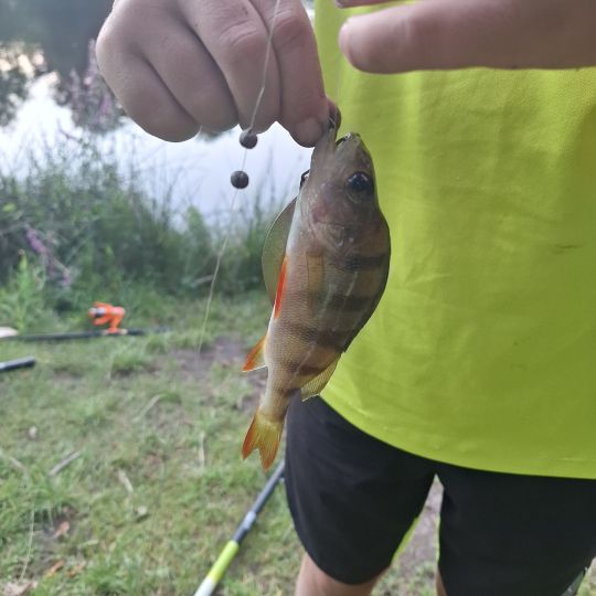 Mittelkanal (Papenburg)-2