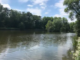 Stadtteich Buchholz in der Nordheide-1
