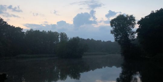 Stadtteich Buchholz in der Nordheide-2