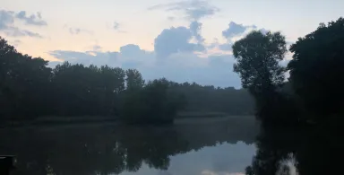 Stadtteich Buchholz in der Nordheide-2