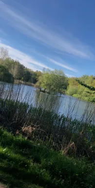 Stadtteich Buchholz in der Nordheide-3