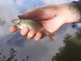 Parksee Wischlingen-1