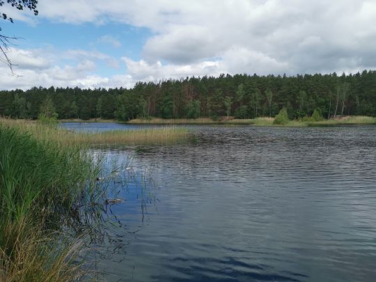 Barschteich (Rückersdorf)-1