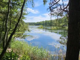 Barschteich (Rückersdorf)-2